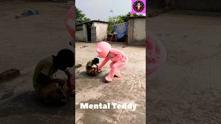 Teddy funny comedy video funny teddy comedy shortsmental teddy 2024 [upl. by Carrillo]