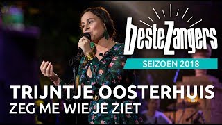 Trijntje Oosterhuis  Zeg me wie je ziet  Beste Zangers 2018 [upl. by Hopper]