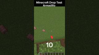 Minecraft Drop Test💧 Armadillo minecraft gaming minecraftgameplay fypage fypシ゚viral armadillo [upl. by Aidole387]