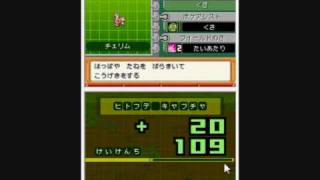 Pokemon Ranger 2  Quests 4 [upl. by Bray]