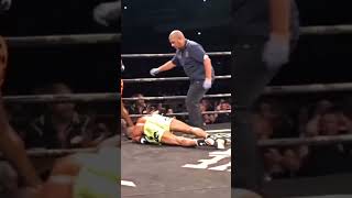 WOW 😮 Back spinning elbow kO 💪🥊💪💯greatmmafights greatmmaknockouts mmajunkies [upl. by Dnarb921]