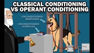 CLASSICAL VS OPERANT CONDITIONING [upl. by Danielson520]