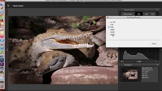 Canon Digital Photo Professional DPP 4 Software Overview and Interface Tour [upl. by Bascio]