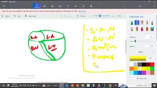 Cardiovascular system شرح SAN كليه الطب البيطري ماده الفسيولوجي [upl. by Gylys]