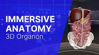 3D Organon Modules Immersive Anatomy [upl. by Rollo]