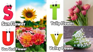 Flowers ABC Song for Kids  Phonics for Kids  English Alphabet Letters [upl. by Llewen]