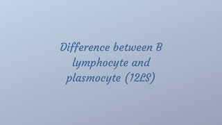 The difference between B lymphocyte and plasmocyte [upl. by Llennor393]