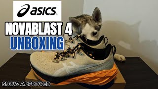 Asics Novablast 4 TR  Unboxing and first Impression with my Husky asics running AsicsNovablast4 [upl. by Cherice31]