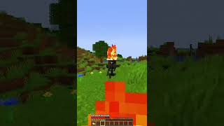 WITHER 103  CURIOSIDADES Y SECRETOS DE MINECRAFT minecraft curiosidadesminecraft short [upl. by Ardiekal]