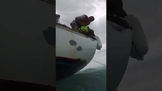 Man dog rescued off FL coast as Hurricane Helene approached [upl. by Suoicserp946]