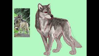 Wolf speedpaint procreate [upl. by Acissej]