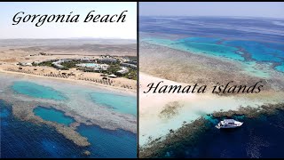 Marsa Alam Gorgonia beach e isole Hamata [upl. by Lraep]