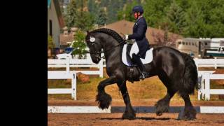 SOLD in 2 MONTHS  Eeltsje F 1 Grand Prix Friesian in US Median 6595 39 Shows [upl. by Donni169]