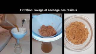 Extraction du chitosane pour fabriquer un bioplastique [upl. by Airlia]