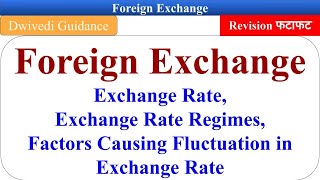 Concept of Foreign Exchange Factors affecting exchange rate Currency banking and Exchange bcom [upl. by Grogan]