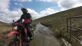 Trans European Trail TET  2018  Honda Grom amp CRF 250 [upl. by Nnyllatsyrc108]