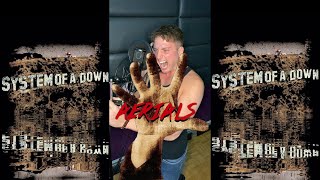 Aerials  System of a Down Vocal Cover [upl. by Alyahc]