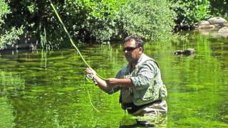 Pesca Pluma Rio Zêzere  Portugal [upl. by Ynad]