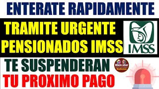 🚨🤑ADIOS PENSION🔴Pensionados del IMSS sin este trámite te suspenderán tu PENSIÓN de forma inmediata [upl. by Llednar419]