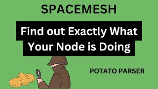 Spacemesh  Find out Exactly What Your Node is Doing [upl. by Fredkin]