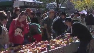 Cider Village held at Union Square Greenmarket in NYC [upl. by Adelina]