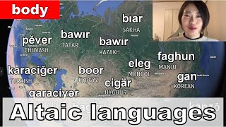 Altaic languages  word comparison with Map Body section [upl. by Mcgrody]