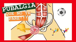 PUBALGIA Estiramiento y ejercicios de FISIOTERAPIA  QUE NO TE PARE [upl. by Yelkcub]