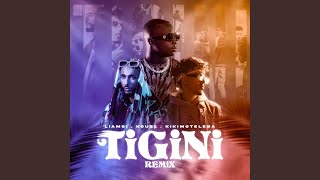 Tigini North African Remix [upl. by Akcirret]