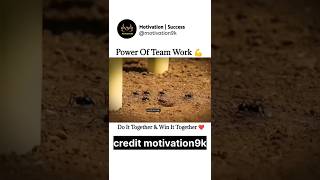 video credit motivation9k 💯 teamwork motivational video 💯 teamwork and collaboration video teamwork [upl. by Pascoe]