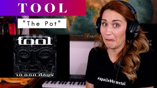 Tool quotThe Potquot REACTION amp ANALYSIS by Vocal Coach  Opera Singer [upl. by Riti]