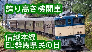 【EF65】誇り高き機関車 EL群馬県県民の日【EF64】 [upl. by Leirud783]