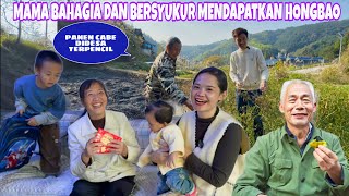 BANTU PEYA DIKEBUN DESA LALU PETIK CABAI DAN BERI HONGBAO KE MAMA DAN VEIVEI [upl. by Nhor840]