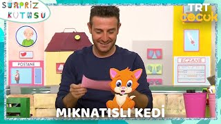 Sürpriz Kutusu  Mıknatıslı Kedi [upl. by Avner]