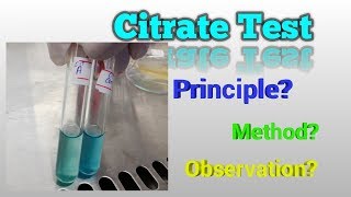 Citrate Test Microbiology [upl. by Barty]