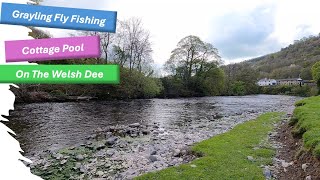 Grayling fishing above the Cottage Pool on the Welsh Dee [upl. by Collar]