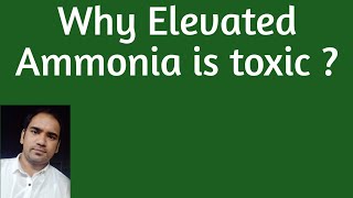 Why Elevated Ammonia in blood is toxic   Biochemical basis for neurotoxicity [upl. by Caro671]