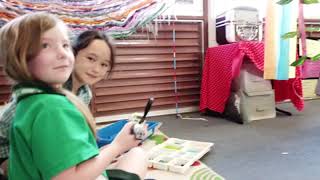 Insteamo Video Comp Finalist Elanora State School [upl. by Russian]