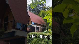 Phii Nong Homestay A peaceful stay at Chota Mungwa travelhomestay darjeeling youtubeshorts [upl. by Weinreb]