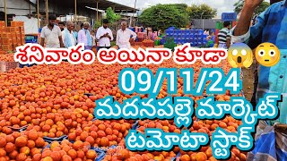 091124 Madanapalle Tomato Market price Today  Today Tomato Market Rate in Madanapalle today [upl. by Huba225]