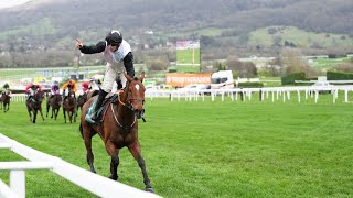 TEAHUPOO batters bookies with Stayers Hurdle glory [upl. by Noseaj]