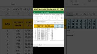 Gantt Chart By Conditional Formatting  Excel Chart  Excel Tips amp Tricks [upl. by Garson207]