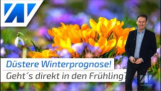 Düstere Winterprognose für Januar und Februar Kommt direkt der Frühling [upl. by Enileuqaj299]