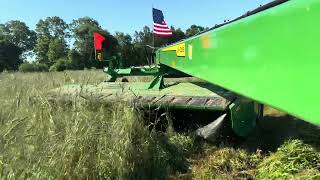 Mowing Triticaletractor farming johndeeretractor johndeere agriculture hay tractor farmlife [upl. by Bunnie732]