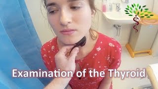 Examination of the Thyroid Gland  OSCE [upl. by Memory]