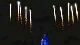 Wishes  Disney World Fireworks [upl. by Lillis671]