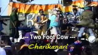 Two Foot Cow quotCharikanari quot Babylon Warriors music video [upl. by Dougal]