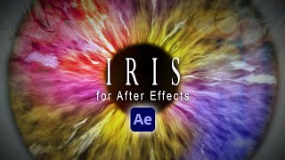 Iris  After Effects Make Custom Eyeball Animations [upl. by Berthe]