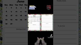 2025 Cat CalendarPlanner [upl. by Koss]