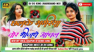 CHHALKEGAGRIYATORBHINJTHEANCHAL NETHETHNAGPURDJREMIXSONG2024 DJDSKINGJHARKHAND [upl. by Nahshun388]