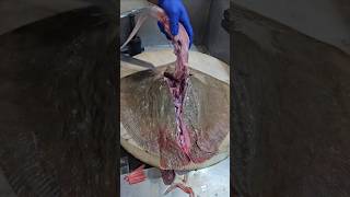 Stingray Fish Fastest Cutting Skillsshorts😱 [upl. by Nador841]